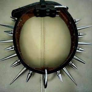 Leather Spike dog collar